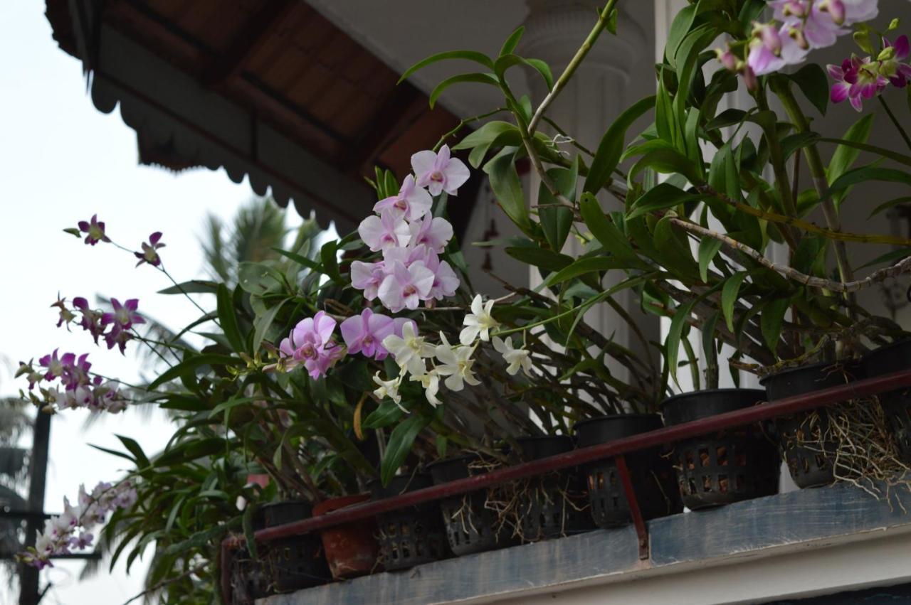 Dream Catcher Home Stay Kochi Exterior photo